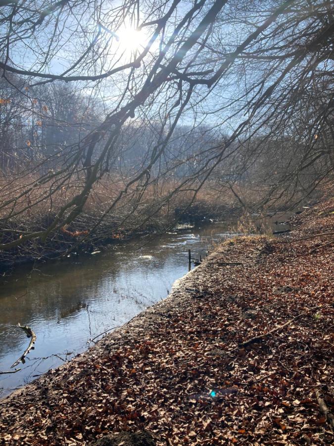 Ferienwohnung Am Waldrand Mit Sauna Biendorf Buitenkant foto